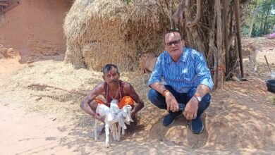 बकरी पालन बना आर्थिक सशक्तिकरण का आधार