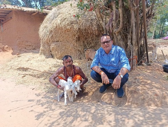 बकरी पालन बना आर्थिक सशक्तिकरण का आधार बकरी पालन बना आर्थिक सशक्तिकरण का आधार