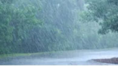 छत्त्तीसगढ़ में मानसून फिर से सक्रिय, हल्की मध्यम बारिश की संभावना, यहां रहा सबसे कम तापमान