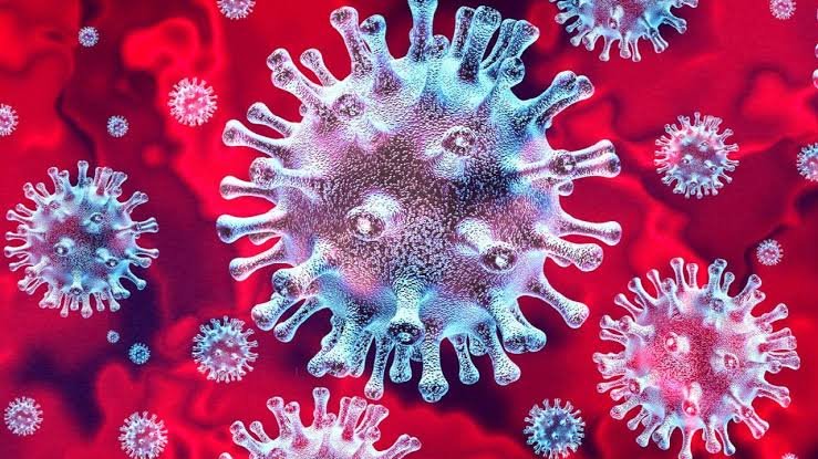 नया वैरिएंट फिर खतरनाक : पिछले 24 घंटे में 250 से ज्यादा नए मामले नया वैरिएंट फिर खतरनाक : पिछले 24 घंटे में 250 से ज्यादा नए मामले