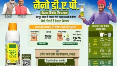 नैनो डीएपी किसानों के लिए ठोस डीएपी उर्वरक का स्मार्ट विकल्प