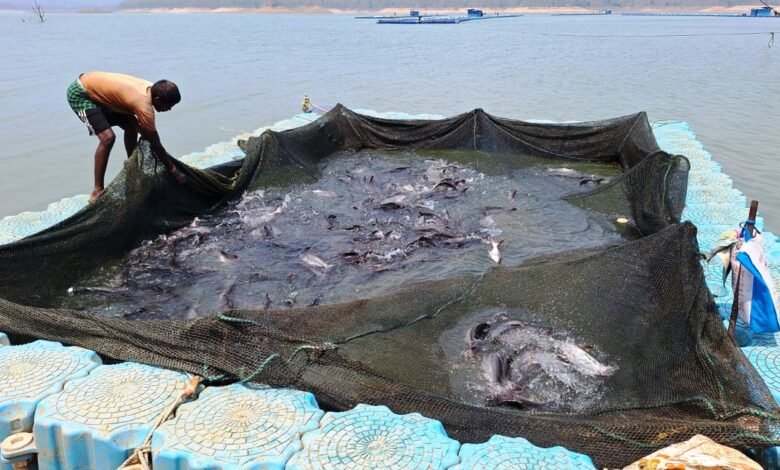 छत्तीसगढ़ में फिशरीज के नये युग की शुरूआत