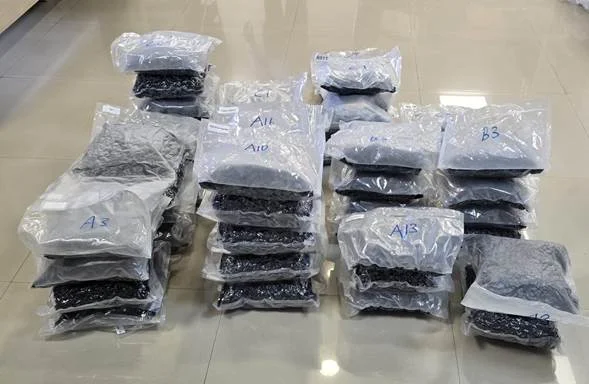 डीआरआई ने “वीडआउट” नामक 72 करोड़ के 72 किलो हाइड्रोपोनिक मादक पदार्थ किये जब्त