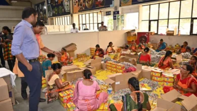 धमतरी से देशभर में गूंजेगी ग्रीन आतिशबाजी, 100 से अधिक महिलाओं को मिला रोजगार