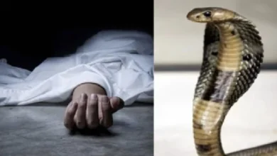 एक ही परिवार के तीन लोगों को सांप ने डसा, पिता-पुत्र की मौत