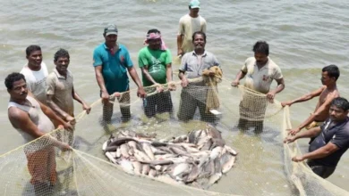 आत्मनिर्भरता और आर्थिक स्थिरता का मजबूत आधार बना-मत्स्य पालन