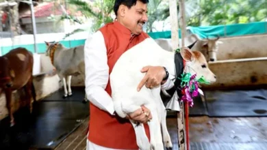 मध्यप्रदेश में दुग्ध उत्पादन से दोगुनी होगी पशुपालक किसानों की आय : मुख्यमंत्री डॉ. यादव