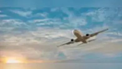 त्योहारों पर बढ़ती हवाई यात्रा मांग: डीजीसीए ने एयरलाइनों से बढ़ाई उड़ान क्षमता, किरायों पर सख्त निगरानी