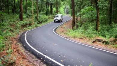 बस्तर की सुदूर बसाहटें अब मुख्यधारा से जुड़ीं, पीएमजीएसवाई ने बदली तस्वीर