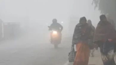 उत्तर और मध्य भारत में ठंड ने पकड़ी रफ्तार: IMD की चेतावनी, कई राज्यों में बारिश-बर्फबारी से गिरेगा तापमान
