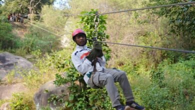 जशपुर जम्बुरी में पर्यटकों ने लिया ग्रामीण संस्कृति, रोमांच और आतिथ्य का अनूठा अनुभव जशपुर जम्बुरी में पर्यटकों ने लिया ग्रामीण संस्कृति, रोमांच और आतिथ्य का अनूठा अनुभव