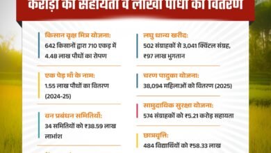 सुगम धान खरीदी से बढ़ा किसानों का आत्मविश्वास — ग्रामीण अर्थव्यवस्था में लौट रही रौनक