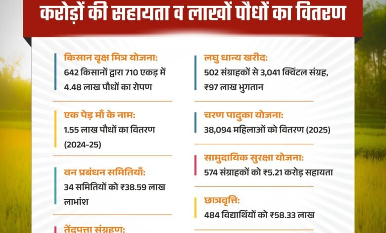 सुगम धान खरीदी से बढ़ा किसानों का आत्मविश्वास — ग्रामीण अर्थव्यवस्था में लौट रही रौनक