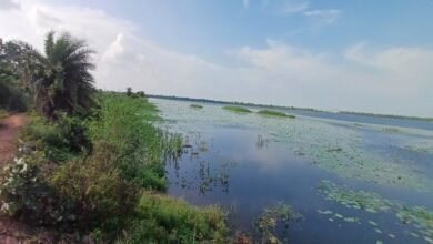 कोपरा जलाशय को मिलेगा रामसर स्थल का दर्जा