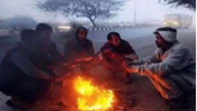 शीतलहर और ठंड से बचाव के लिए नई एडवाइजरी, जानें