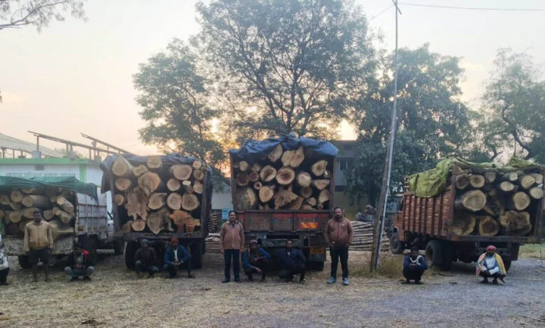 प्रतिबंधित काष्ठों का अवैध परिवहन पकड़ा गया, वन विभाग ने की जब्ती प्रतिबंधित काष्ठों का अवैध परिवहन पकड़ा गया, वन विभाग ने की जब्ती