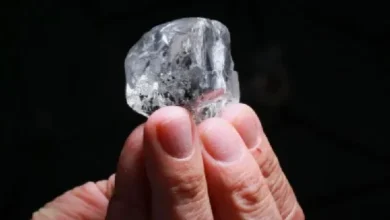 दो दोस्तों की किस्मत चमकी: जमीन से मिला 15.34 कैरेट का हीरा, कीमत करीब 50 लाख