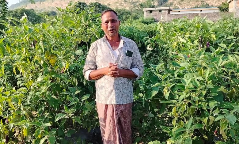 आधुनिक तकनीक व उद्यानिकी विभाग के मार्गदर्शन से 80 क्विंटल से बढ़कर 170 क्विंटल तक पहुँची उपज