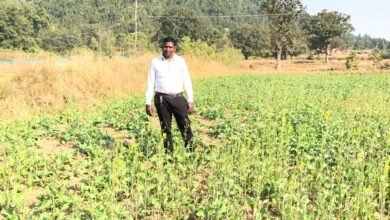 प्रधानमंत्री धन-धान्य कृषि योजना ने बदली किसानों की किस्मत प्रधानमंत्री धन-धान्य कृषि योजना ने बदली किसानों की किस्मत